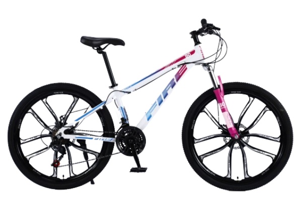 Mountain Bike MTBJ020