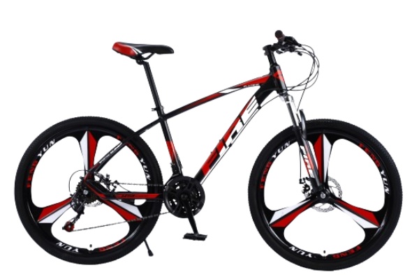 Mountain Bike MTBJ022