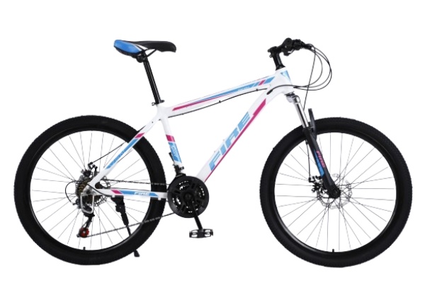 Mountain Bike MTBJ025