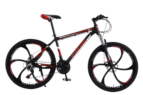 Mountain Bike MTBJ027