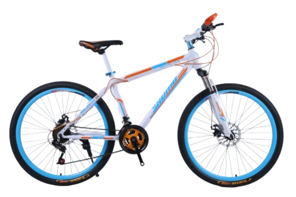 Mountain Bike MTBJ030