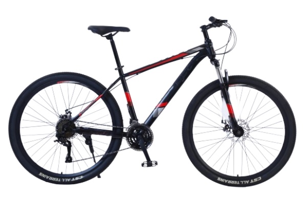 Mountain Bike MTBJ037