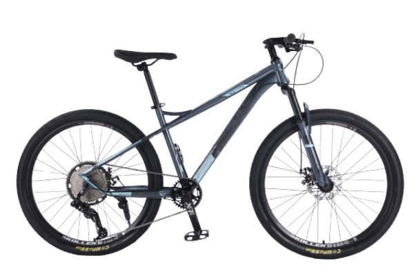 Mountain Bike MTBJ040