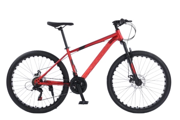 Mountain Bike MTBJ041