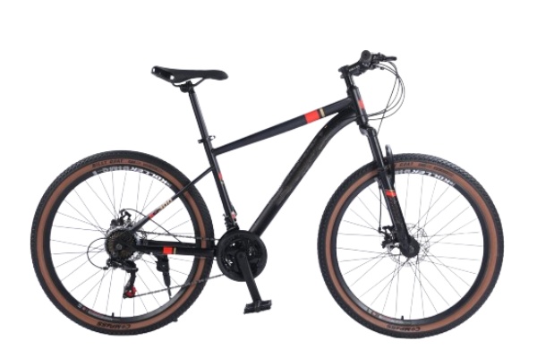 Mountain Bike MTBJ043