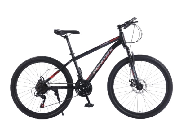 Mountain Bike MTBJ044