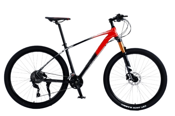 Mountain Bike MTBJ052