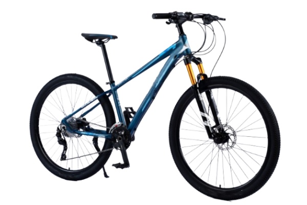 Mountain Bike MTBJ053