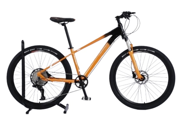 Mountain Bike MTBJ055