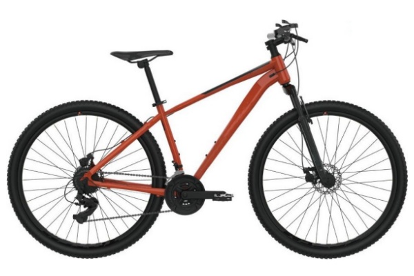 Mountain Bike MTBG020