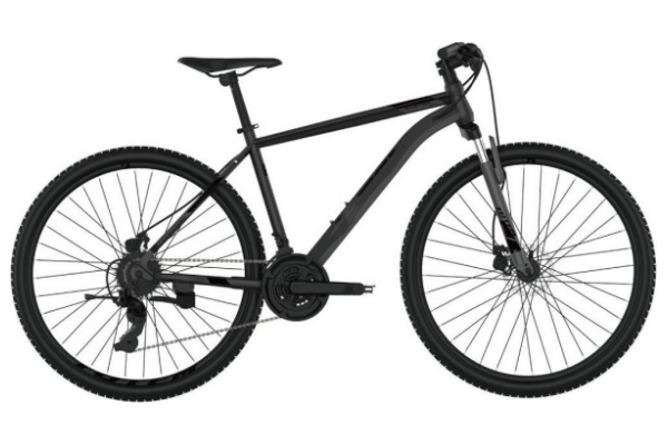 Mountain Bike MTBG039