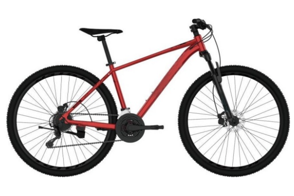 Mountain Bike MTBG049