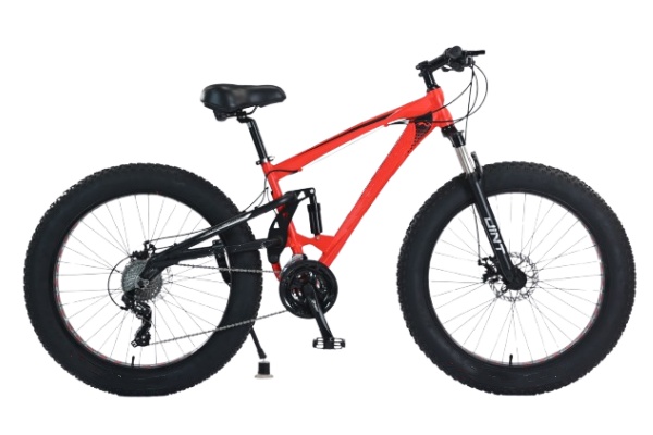 Fat Bike FATJ001